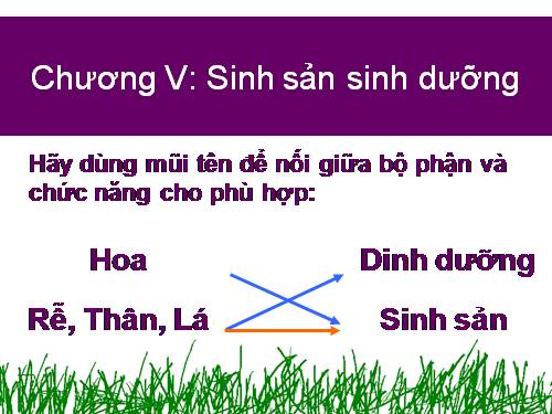 Bài 26. Sinh sản sinh dưỡng tự nhiên