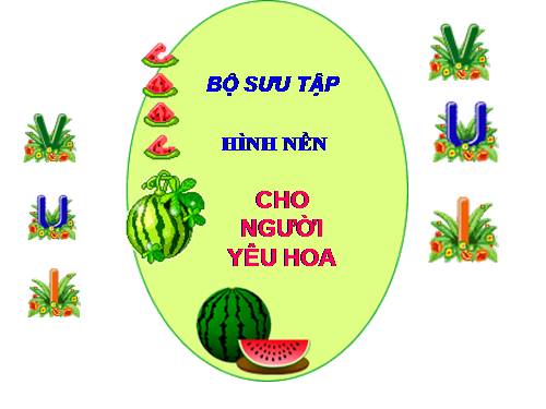 BỘ SƯU TẬP HÌNH NỀN CHO NGƯỜI YÊU HOA