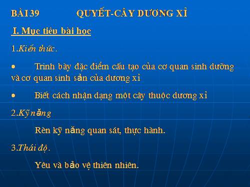 Bài 39. Quyết - Cây dương xỉ