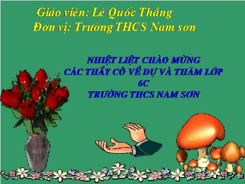 Bài 28. Cấu tạo và chức năng của hoa