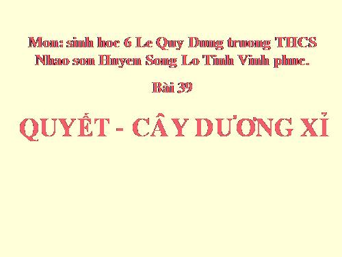 Bài 39. Quyết - Cây dương xỉ