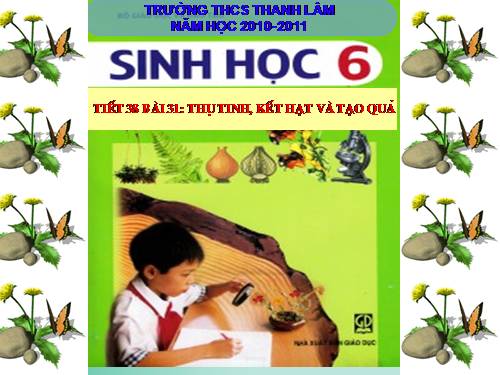 Bài 31. Thụ tinh, kết quả và tạo hạt