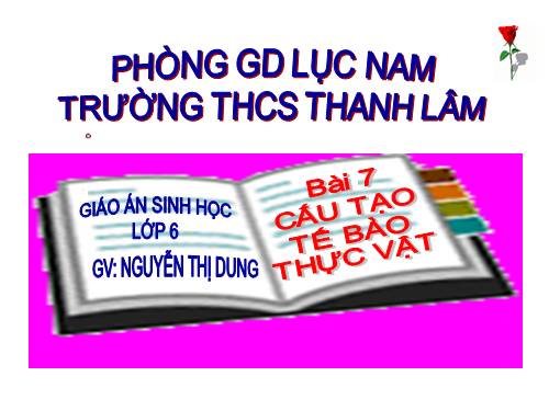 Bài 7. Cấu tạo tế bào thực vật