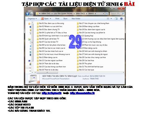 TẬP HỢP TƯ LIỆU SINH 6 BÀI 29