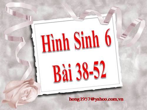 hinh sinh hoc lop 6 tu bai 38 - 52