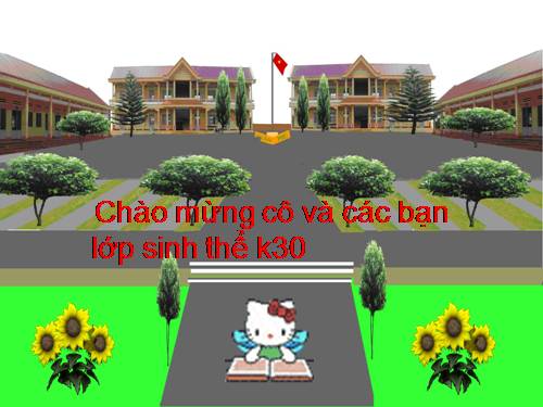 Bài 25. Biến dạng của lá