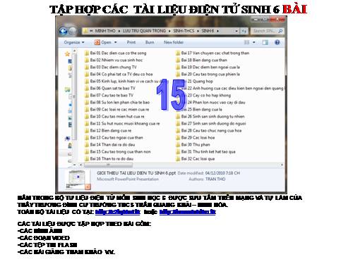 TẬP HỢP TƯ LIỆU SINH 6 BÀI 15
