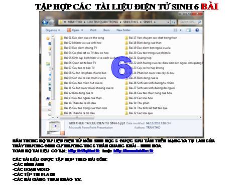 TẬP HỢP TƯ LIỆU SINH 6 BÀI 6
