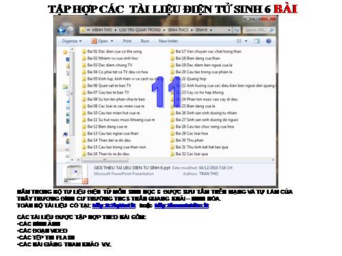 TẬP HỢP TƯ LIỆU SINH 6 BÀI 11