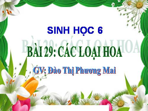 Bài 29. Các loại hoa