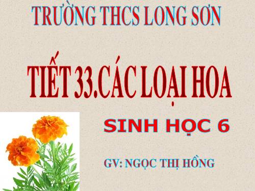 Bài 29. Các loại hoa