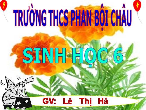 Bài 29. Các loại hoa