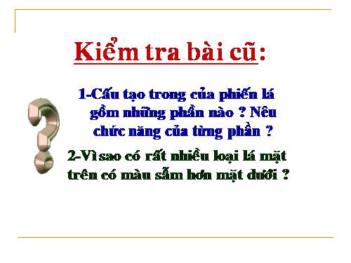 Bài 21. Quang hợp