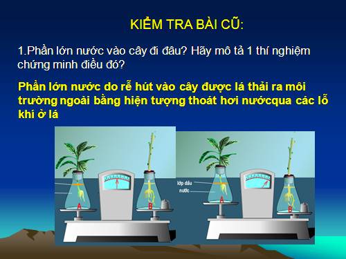 Bài 25. Biến dạng của lá