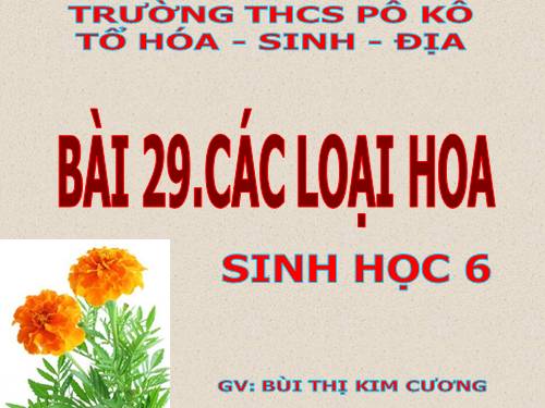 Bài 29. Các loại hoa