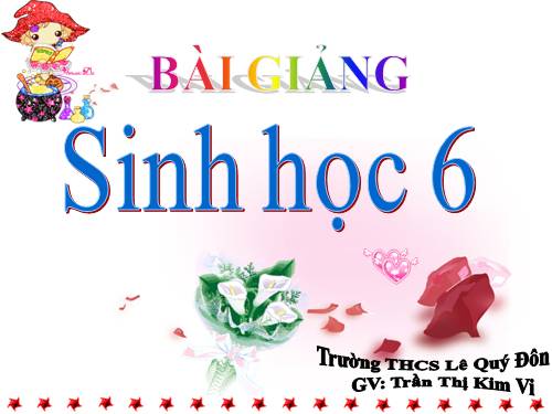 Bài 27. Sinh sản sinh dưỡng do người