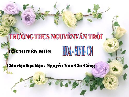 Bài 28. Cấu tạo và chức năng của hoa