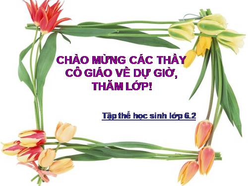 Bài 19. Đặc điểm bên ngoài của lá