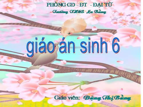 Bài 27. Sinh sản sinh dưỡng do người