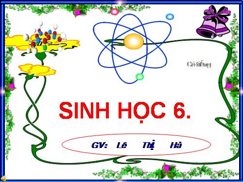 Bài 26. Sinh sản sinh dưỡng tự nhiên