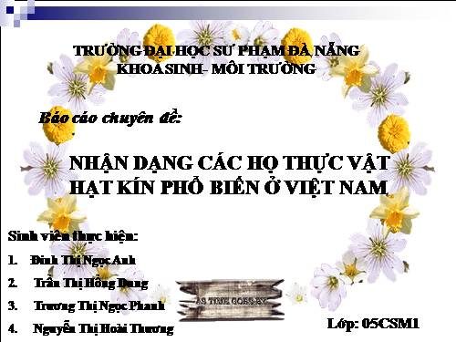 Tư liệu hỗ trợ sinh hoc 6