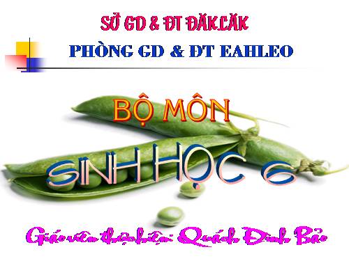 Bài 41. Hạt kín - Đặc điểm của thực vật Hạt kín