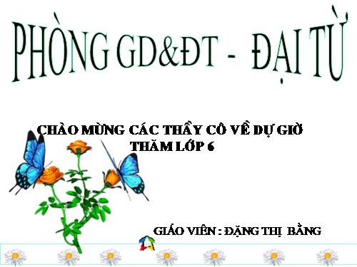 Bài 46. Thực vật góp phần điều hoà khí hậu