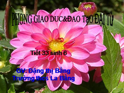 Bài 29. Các loại hoa