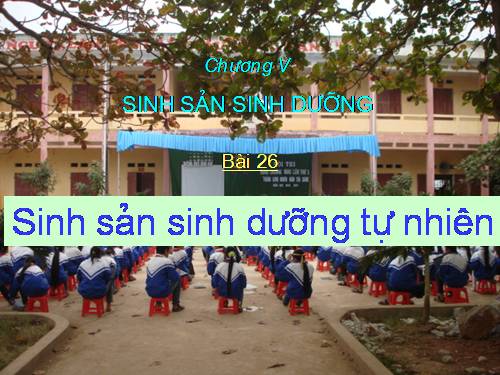 Bài 26. Sinh sản sinh dưỡng tự nhiên