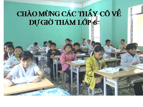 Bài 39. Quyết - Cây dương xỉ