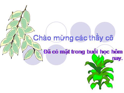 Bài 49. Bảo vệ sự đa dạng của thực vật