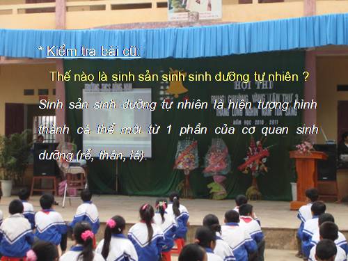 Bài 27. Sinh sản sinh dưỡng do người