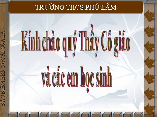 Bài 19. Đặc điểm bên ngoài của lá