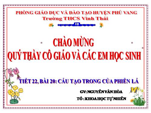 Bài 20. Cấu tạo trong của phiến lá