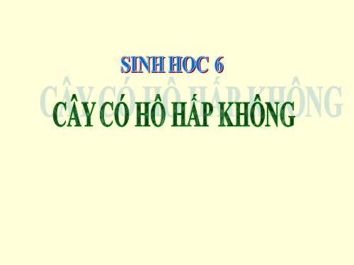 Bài 23. Cây có hô hấp không?