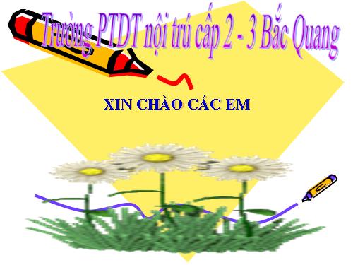 Bài 20. Cấu tạo trong của phiến lá