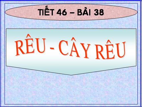 Bài 38. Rêu - Cây rêu