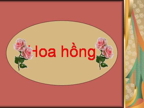 Tài liệu