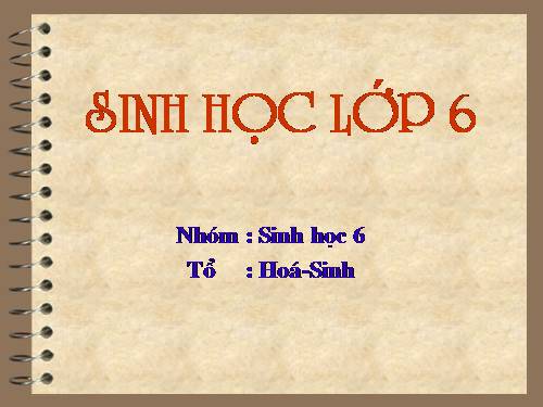 Bài 19. Đặc điểm bên ngoài của lá