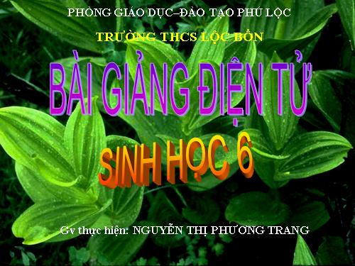 Bài 21. Quang hợp