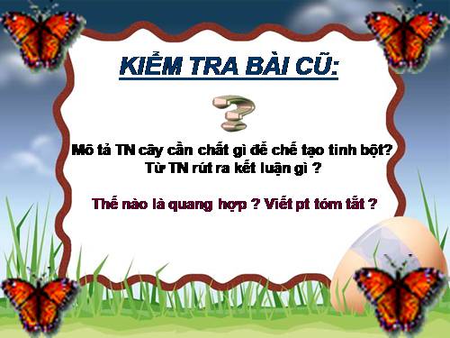 Bài 21. Quang hợp