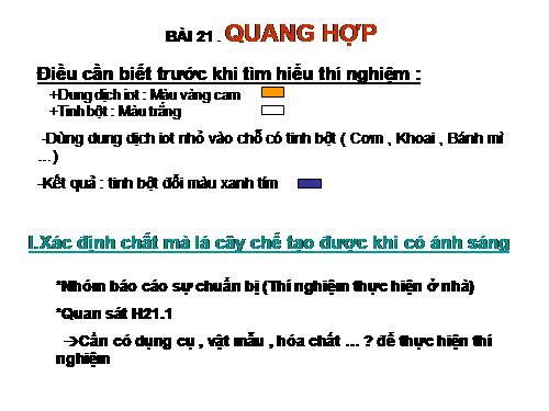 Bài 21. Quang hợp