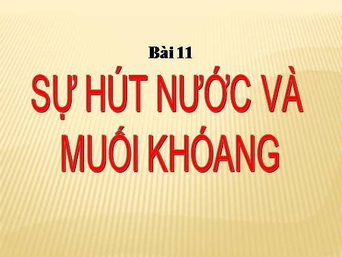 Bài 11. Sự hút nước và muối khoáng của rễ