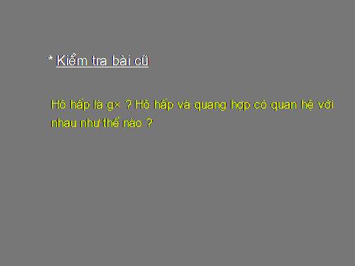 Bài 24. Phần lớn nước vào cây đi đâu?