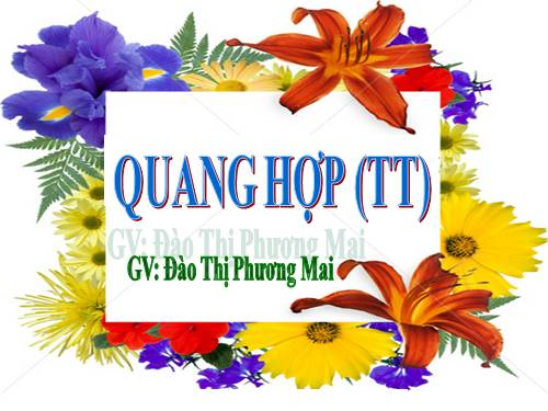 Bài 21. Quang hợp