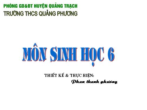 Bài 46. Thực vật góp phần điều hoà khí hậu