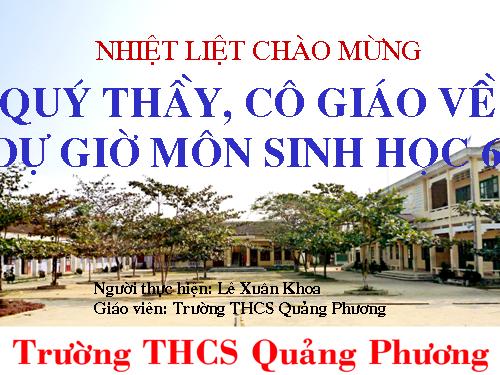 Bài 34. Phát tán của quả và hạt