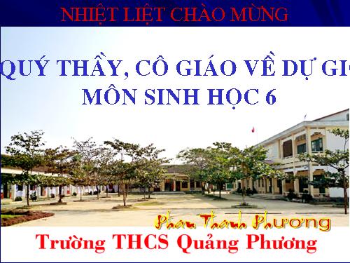 Bài 16. Thân to ra do đâu ?