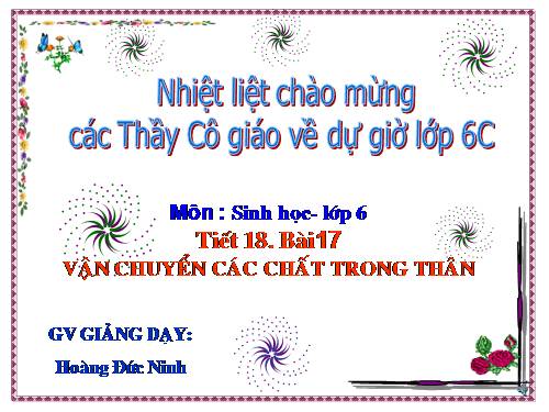 Bài 17. Vận chuyển các chất trong thân