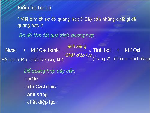 Bài 22. Ảnh hưởng của các điều kiện bên ngoài đến quang hợp, ý nghĩa của quang hợp